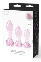 Dream Toys Rosen Glas Analplugs Training Set rosa