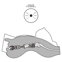 Lovetoy Masturbator Streetgirls 8