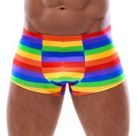 Mens Boxer Briefs Rainbow S - 2XL