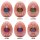 Tenga Egg HB Package II 6er