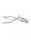 Rimba Rectal Speculum Dual Blade Silver
