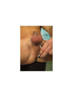 Rimba Cockring with Anal Lock XL Silver