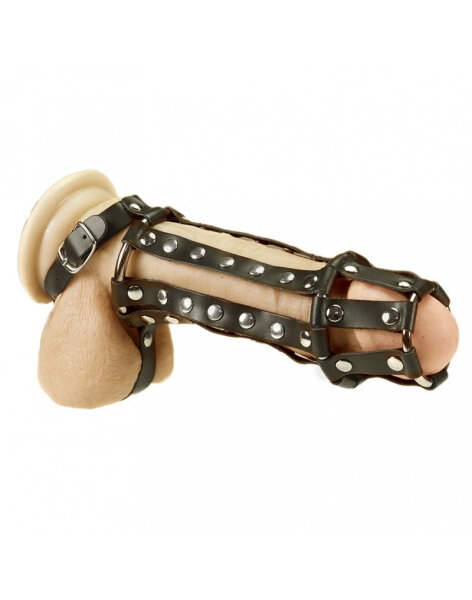 Rimba Penis Harness mit N&auml;geln und Ballstrap Schwarz S-M 11 cm