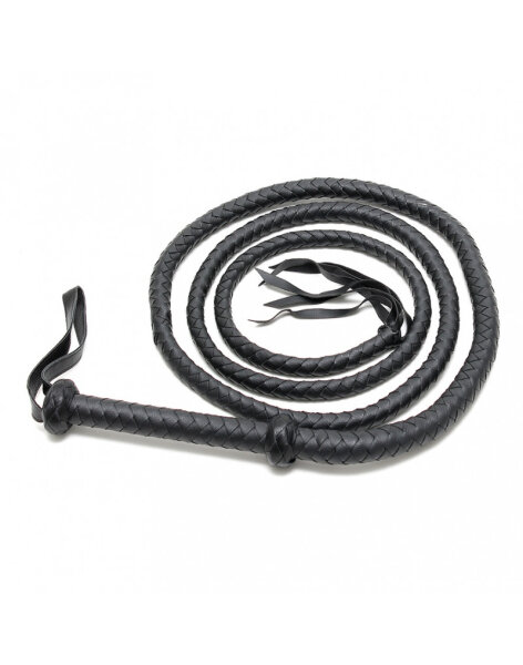 Rimba Arabian bullwhip