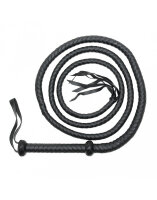 Rimba Arabian bullwhip