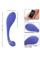 CalExotics Connect Kegel Exerciser Purple