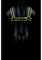 Chest Bulldog Harness Glow in the Dark S/M - L/XL