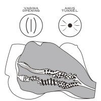 Lovetoy Streetgirls #7 Black