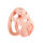 Sevanda Pink Pride Chastity Cage Long