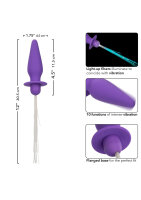 CalExotics Southern Lights Vibrating Light Up Anal Probe Purple