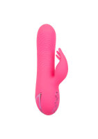 CalExotics California Dreaming Sacramento Sweetie Pink