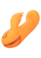 CalExotics California Dreaming Montecito Muse Orange