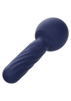 CalExotics Charisma Seduction Purple