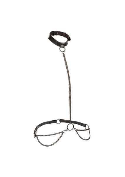 CalExotics Euphoria Collection Plus Size Kettenhalsband & Leine schwarz