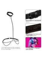 CalExotics Euphoria Collection Plus Size Kettenhalsband & Leine schwarz