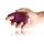 Rocks-Off Paarvibrator Climaximum Coax Burgundy Lila