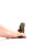 Kiotos Revolt Green Army 05 Small 4,5 cm