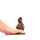 Kiotos Revolt Green Army 10 Medium 14,5 cm