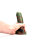 Kiotos Revolt Green Army 19 19 cm