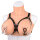 Kiotos Anchor Nipple Clamps with Bells & Studded Harness