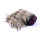 Bristle Dog - Plush Monster Masturbator
