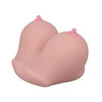 XR Brands 2 Sweet Holes Masturbator VI