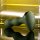 Evolved Lieutenant Vibrating Anal Plug - 12 cm
