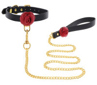 Taboom Wild Roses collar and lead