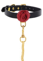 Taboom Wild Roses collar and lead