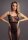 Knee-Length Lace und Fishnet Dress Black Onesize - Queensize