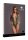 V-Neck Teddy with Opaque Panels Green Onesize - Queensize