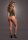 V-Neck Teddy with Opaque Panels Green Onesize - Queensize