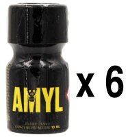 AMYL 10 ml 6-144 St&uuml;ck