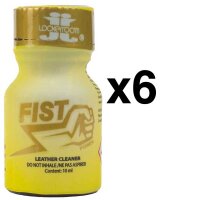 FIST POWER 10 ml 6-72 St&uuml;ck