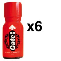 GATE 15 ml 6-20 St&uuml;ck