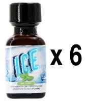 ICE Mint 24 ml 6-144 St&uuml;ck