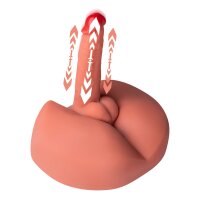 XISE Honey Ass masturbator with dildo 3.2 kg beige