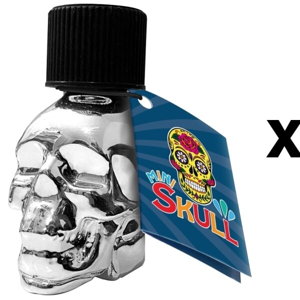 MINI SKULL QUICK SILVER 15 ml 6-18 St&uuml;ck