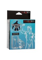 CalExotics Guys Guys Guys David 9,5 cm Clear