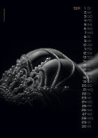 PIN-UP Calendar Sexy Backside 2026