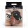 XR Brands Bull Chastity Cage Black