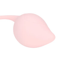 Loveline Pelvic Stem kegel kit 5-piece multicolor &Oslash; 3.5 cm