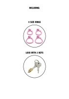 Hidden Desire Cock Cage