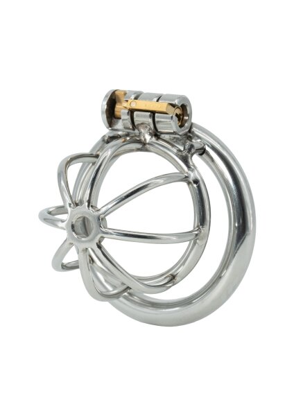 Hidden Desire Chastity Harness Keuschheitsk&auml;fig