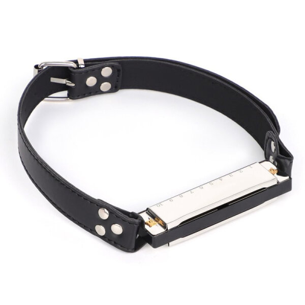 BDSMaster Harmonica Gag Silver