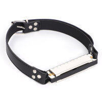 BDSMaster Harmonica Gag Silver