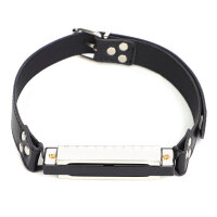 BDSMaster Harmonica Gag Silver