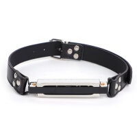 BDSMaster Harmonica Gag Silver