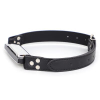 BDSMaster Harmonica Gag Silver