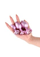 NS Novelties Trainer Kit Iridescent Rosa